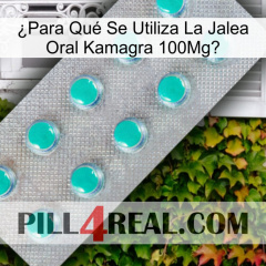 ¿Para Qué Se Utiliza La Jalea Oral Kamagra 100Mg 28